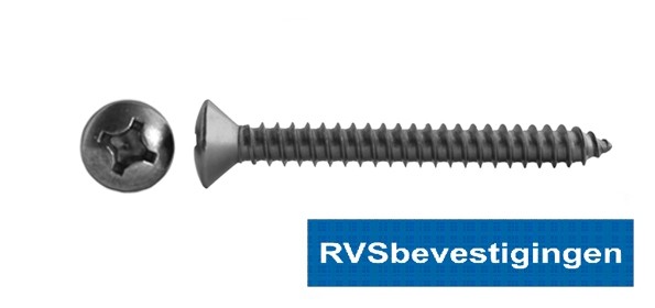 Plaatschroef Din7983 LK PH RVS A2 5,5x50mm 200 stuks