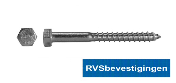 Houtdraadbout Din571 RVS A2 10x280mm 25 stuks