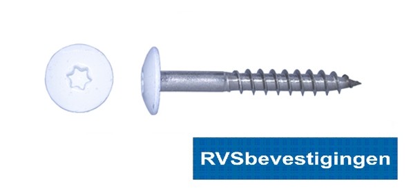 Kleurkop-schroeven voor Trespa®/HPL platen 4,8x25mm RAL9010 zuiverwit RVS A2 TX-20 100 stuks