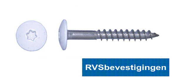Kleurkop-schroeven voor Trespa®/HPL platen 4,8x38mm RAL9016 verkeerswit RVS A2 TX-20 100 stuks